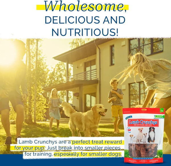 PCI Pet Center Inc Lamb Crunchys Raw Dehydrated Lamb Dog Treats, 16 Oz Pack | Made in USA Dog Treats from Single-Ingredient Lamb Lung, for Dogs of All Ages - Can Be Used for Training or Daily Treats4
