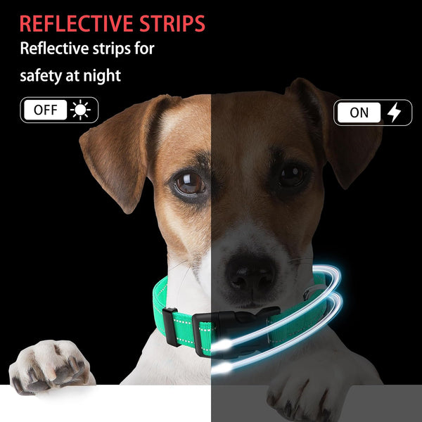 Reflective Dog Collar with Safety Locking Buckle, Adjustable Soft Breathable Nylon Collars for Small, Medium and Large Dogs(Collar+Leash XS Width 5/8" Turquoise) | Adjustable Soft Breathable Nylon Collars for Small, Medium and Large Dogs (XS Width 5/8" Turquoise)5