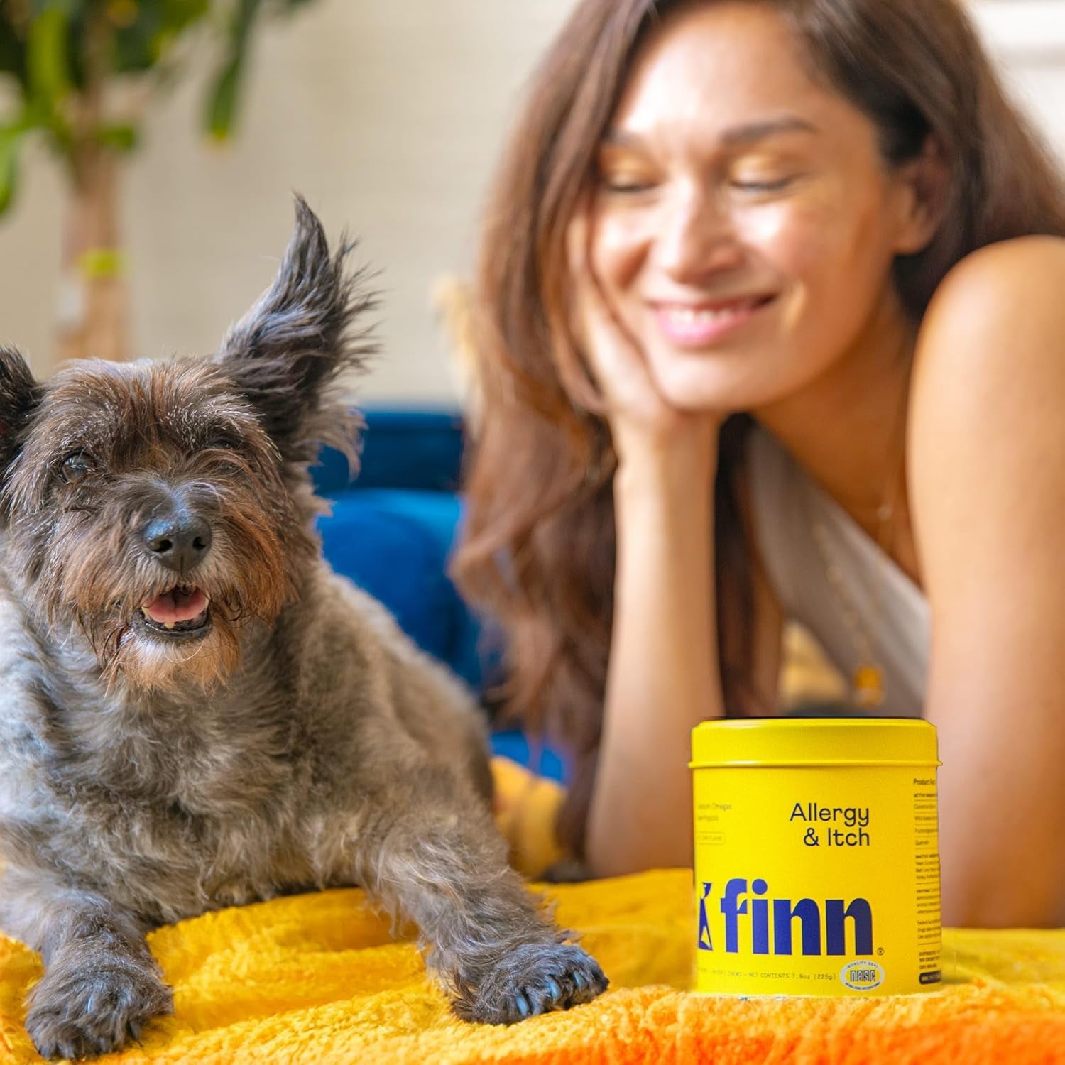 finn-allergy-itch-soft-chews-for-dogs-colostrum-bee-propolis-90-ct-quercetin-probiotics-nasc-certified-vet-formulated-seasonal-environmental-allergy-relief