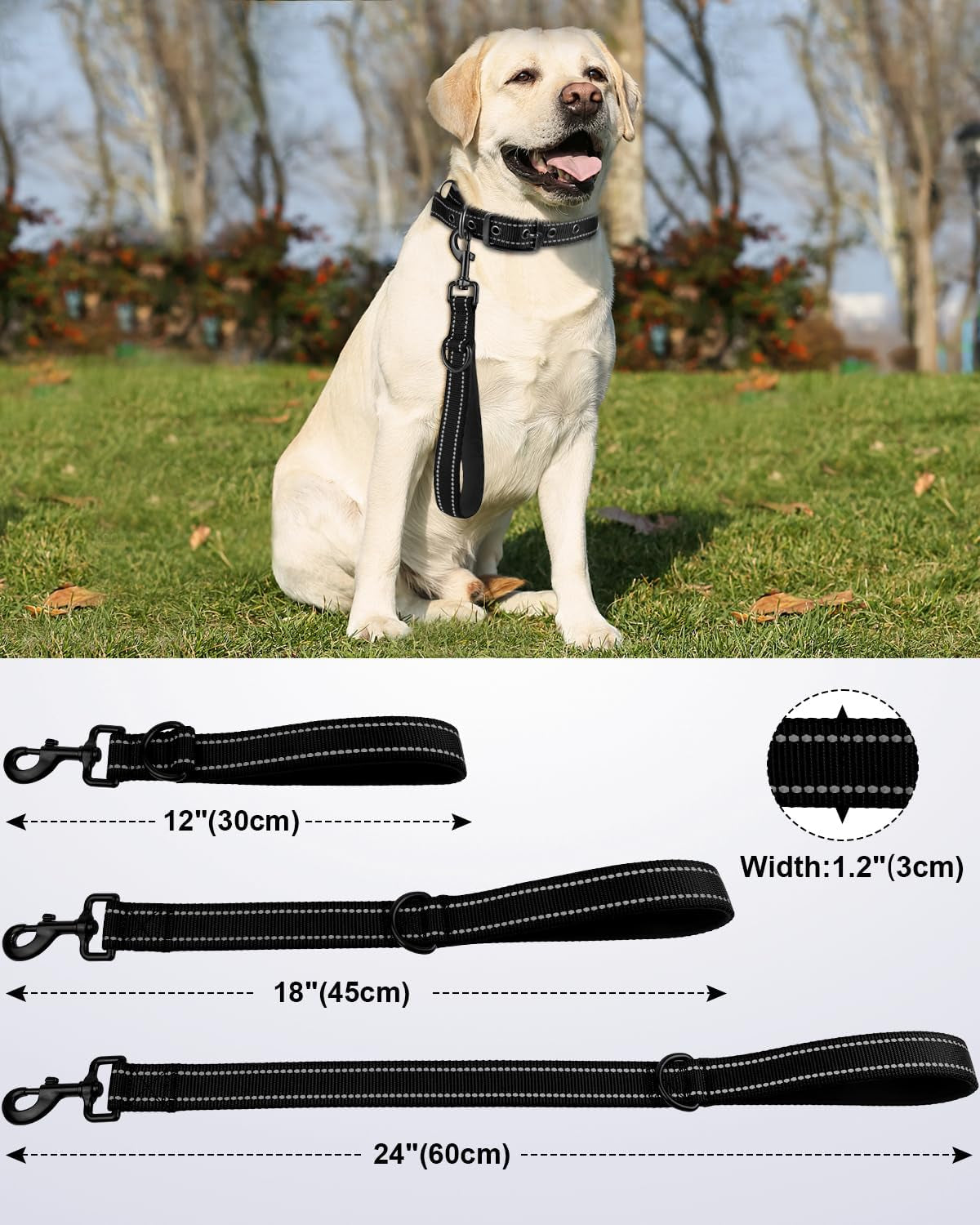 joytale-short-dog-leash-for-close-control-training-18-black-padded-comfort-handle-reinforced-nylon-webbing-secure-metal-clip-for-busy-streets-heel-training