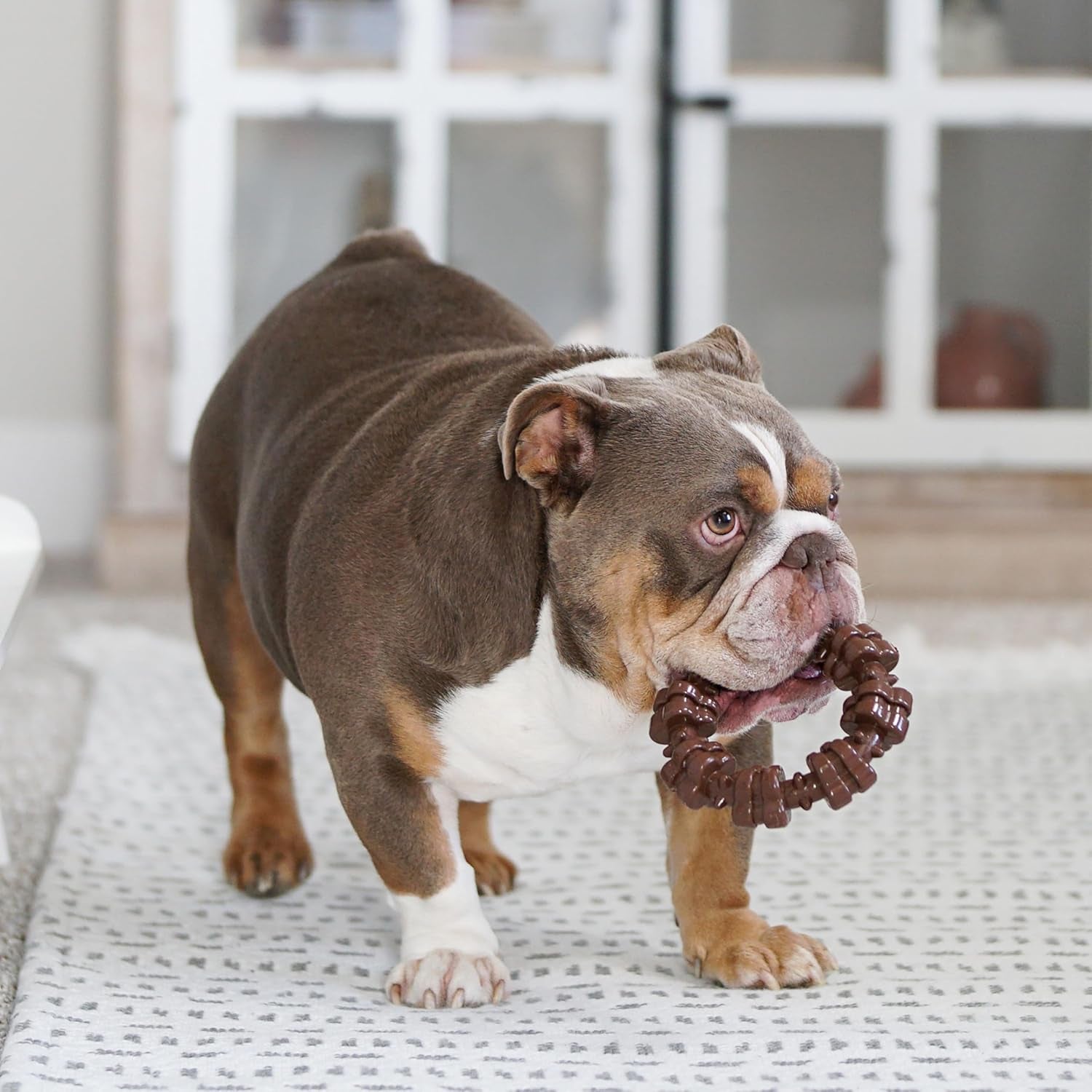 nylabone-power-chew-customer-favorites-dog-chew-toys-3-count-large-flavor-medley-peanut-butter-and-beef-flavor-durable-dog-toys-for-aggressive-chewers-for-large-breeds-up-to-50-lbs