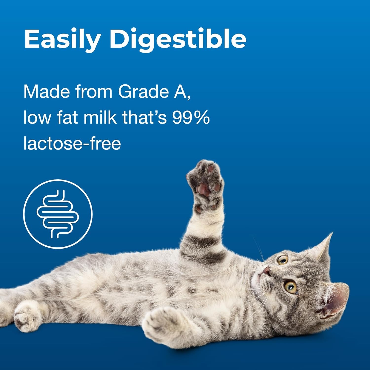 pet-ag-cat-sip-real-milk-8-oz-4-pack-ready-to-feed-snack-for-cats-kittens-easy-to-digest-with-99-lactose-free-low-fat-grade-a-milk-encourages-hydration