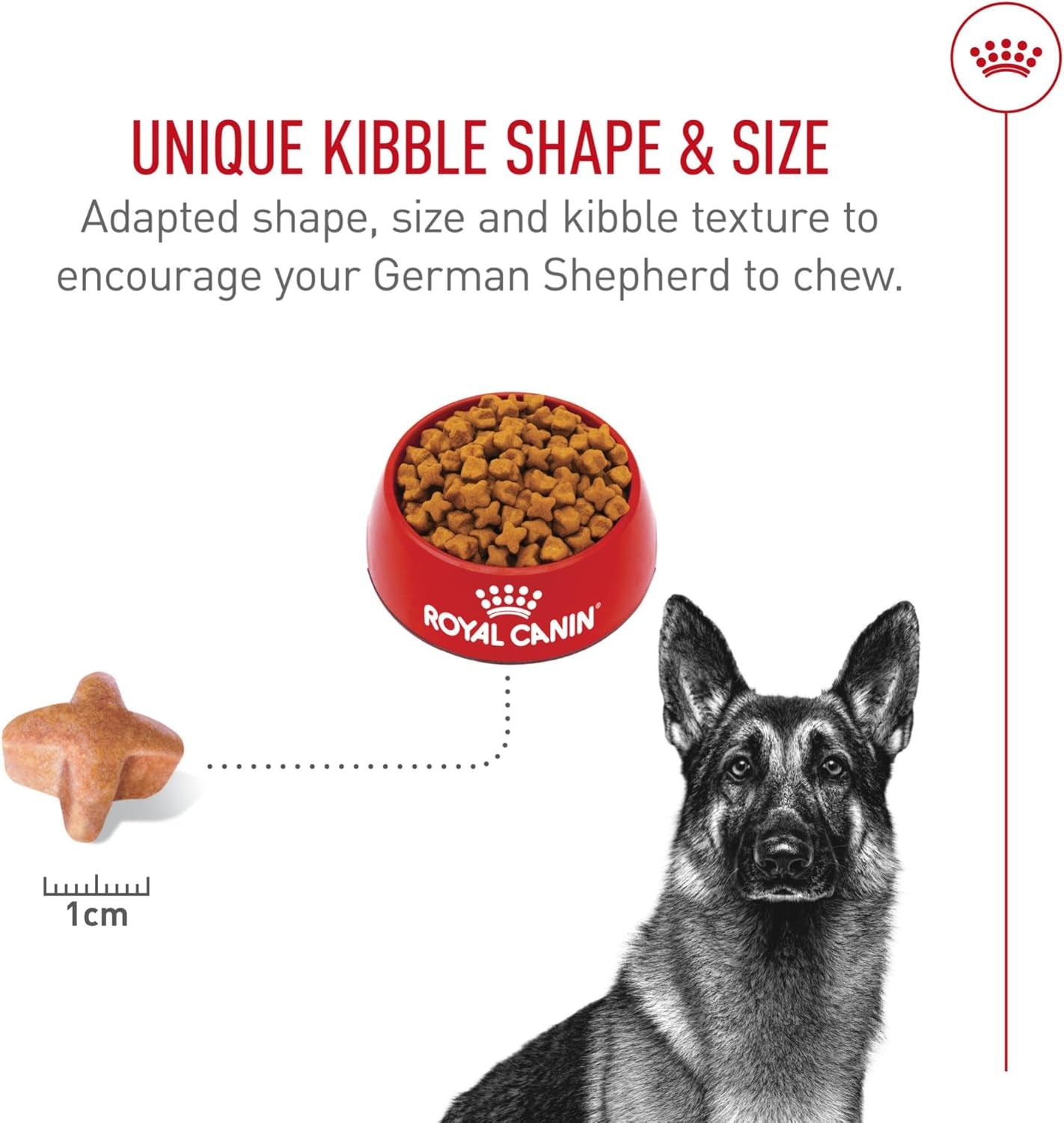 royal-canin-breed-health-nutrition-german-shepherd-adult-dry-dog-food-30-lb-bag