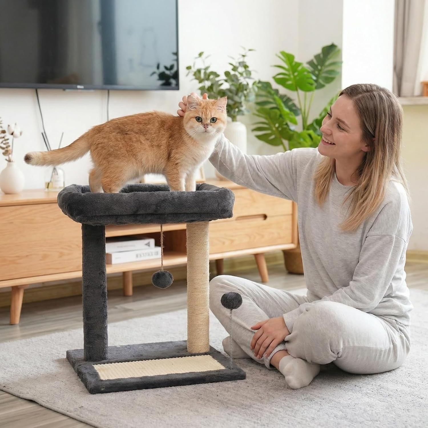 cat-scratching-post-19-69-h50cm-cat-tree-with-cat-bed-scratching-posts-for-indoor-cats-with-two-plush-balls-toy-small-cat-tree-for-kittens-cats-playing-and-relaxing-20-in-grey-cat-tree