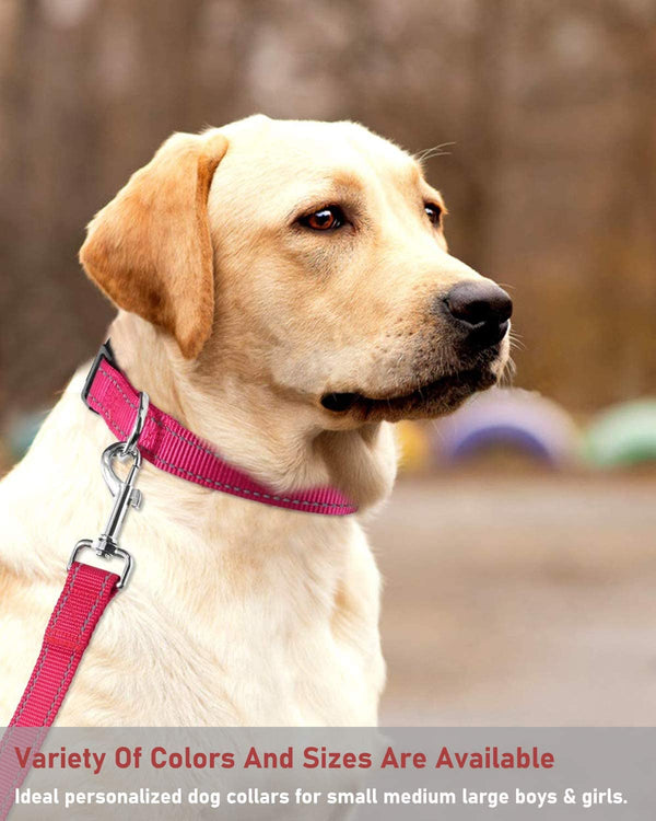 Reflective Dog Collar with Buckle Adjustable Safety Nylon Collars for Small Medium Large Dogs, Pink M | Breathable Nylon Collars for Small Medium Large Dogs, No Chafing on Walks and Outdoor Hikes, Metal D-Ring, Night Safety7