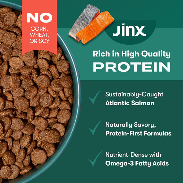 Jinx Dry Dog Food - Real Salmon, Brown Rice & Sweet Potato, 4Lb | Premium Kibble for Digestive Support & Healthy Immunity - No Fillers, All Lifestages (Puppy, Adult & Senior), Breeds & Sizes4
