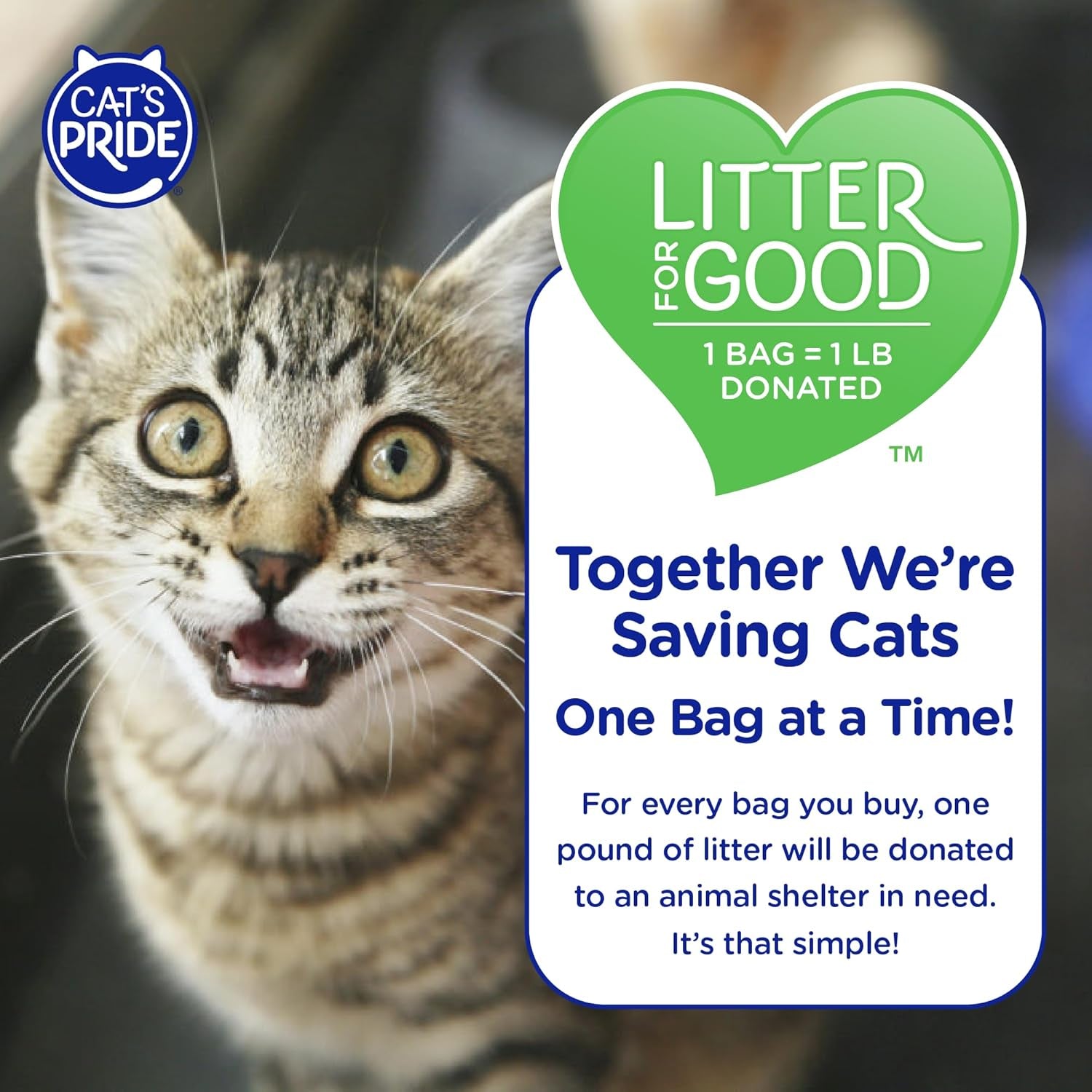 cats-pride-antibacterial-cat-litter-destroys-99-9-of-odor-causing-bacteria-powerful-odor-control-premium-lightweight-clumping-litter-scented-18-pounds