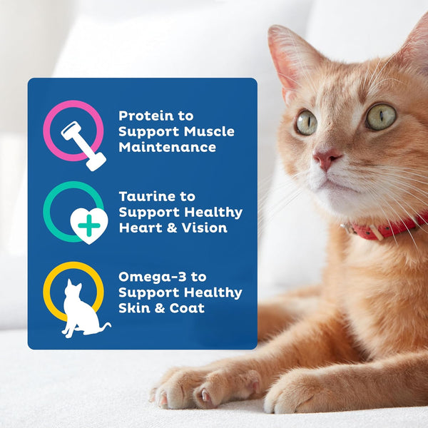 9Lives Daily Essentials Dry Cat Food, 28 Pound Bag5