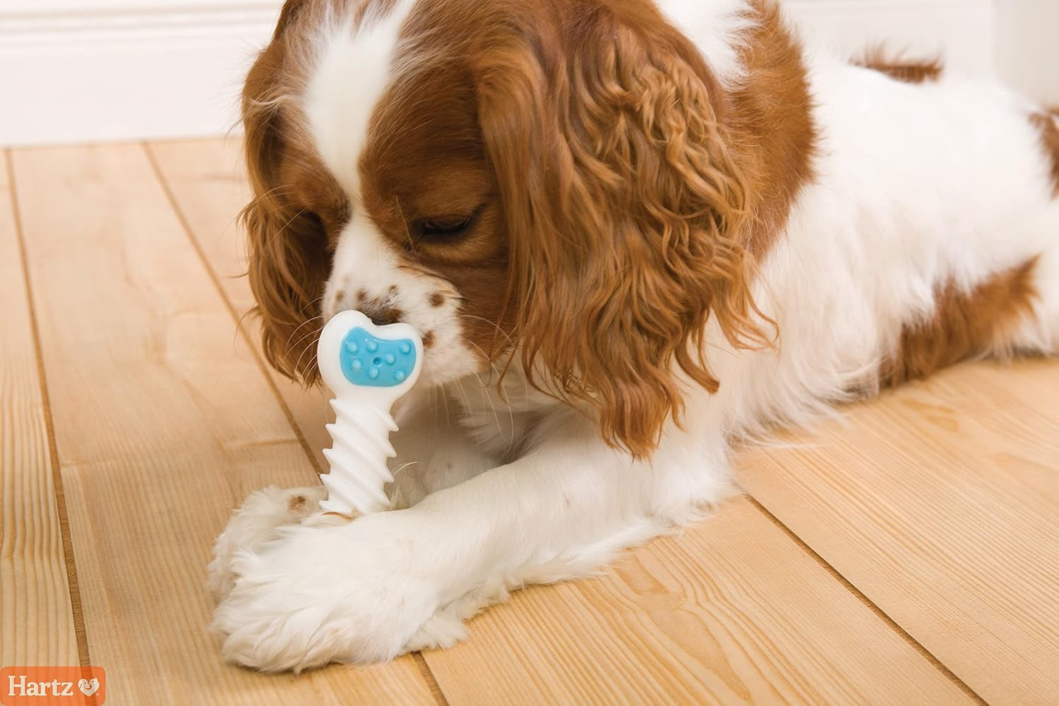hartz-chew-n-clean-twisty-bone-dog-chew-toy-bacon-scented-for-moderate-chewers-extra-small