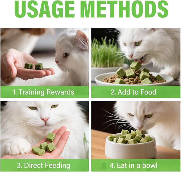 Cat Grass Treats for Indoor Cats, Crunchy Wheatgrass Snacks for Cats, 120G | Ready-To-Eat Wheatgrass Treats,Supports Natural Digestive Health & Hairball Passage,Grain-Free & Crunchy for Dental Care4