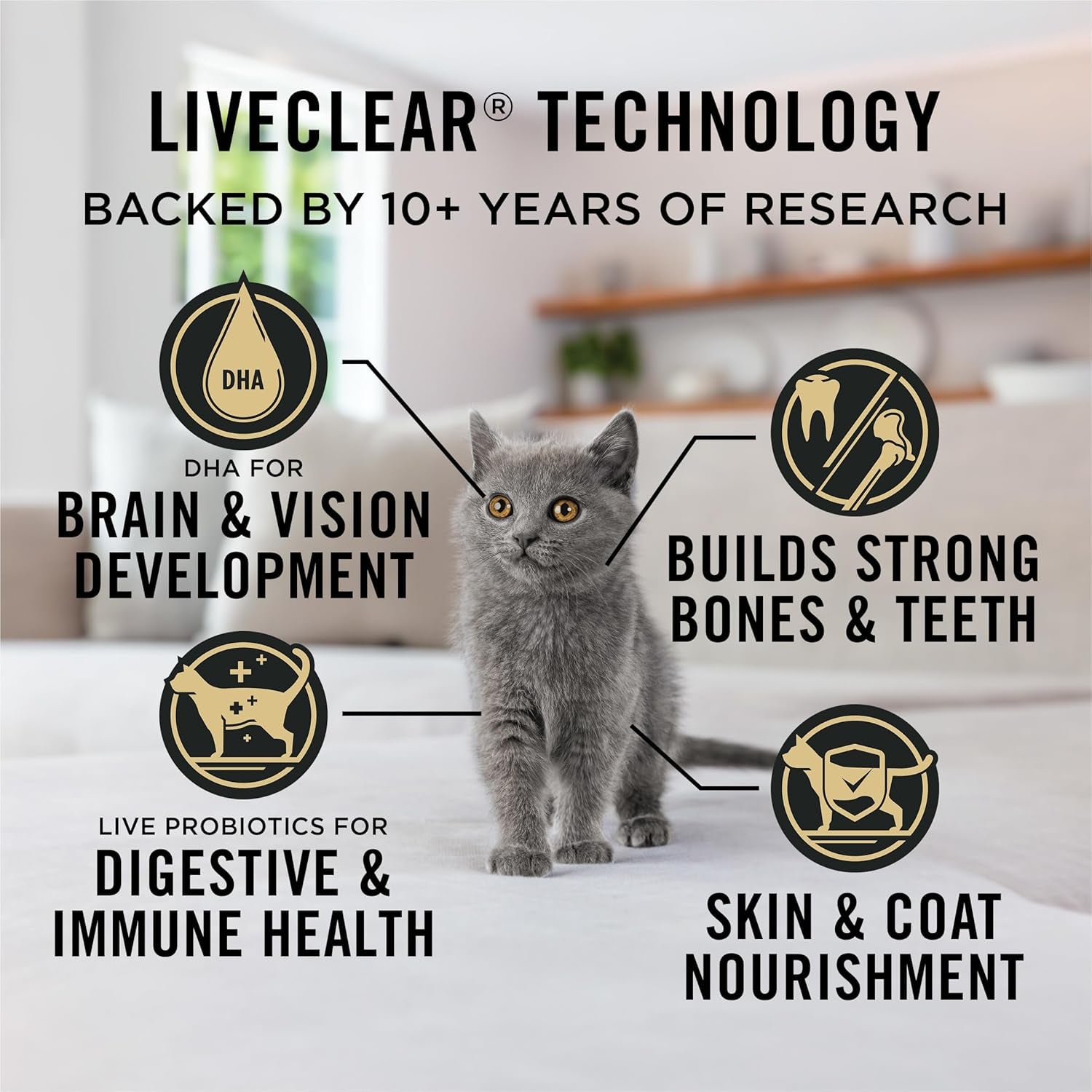 purina-pro-plan-liveclear-dry-cat-food-for-kittens-cat-allergen-reducer-chicken-and-rice-formula-5-5-lb-bag