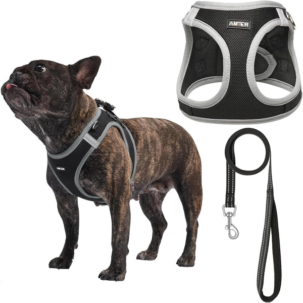 AMTOR Small Dog Harness with Leash Set, No Escape Easy Walk Puppy Harnesses for Training Walking, Step-In Reflective Soft Dogs Vest for XS S Medium Extra-Small Large Sized Dog(Green,S)24