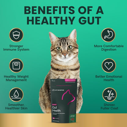 Vetriscience Gut Health Chews, Probiotic Everyday Digestive Supplement for Cats, Pet Probiotics for Digestion Support, Gas and Diarrhea, Immune Support, 120 Million CFU per Chew, Duck, 60 Count3