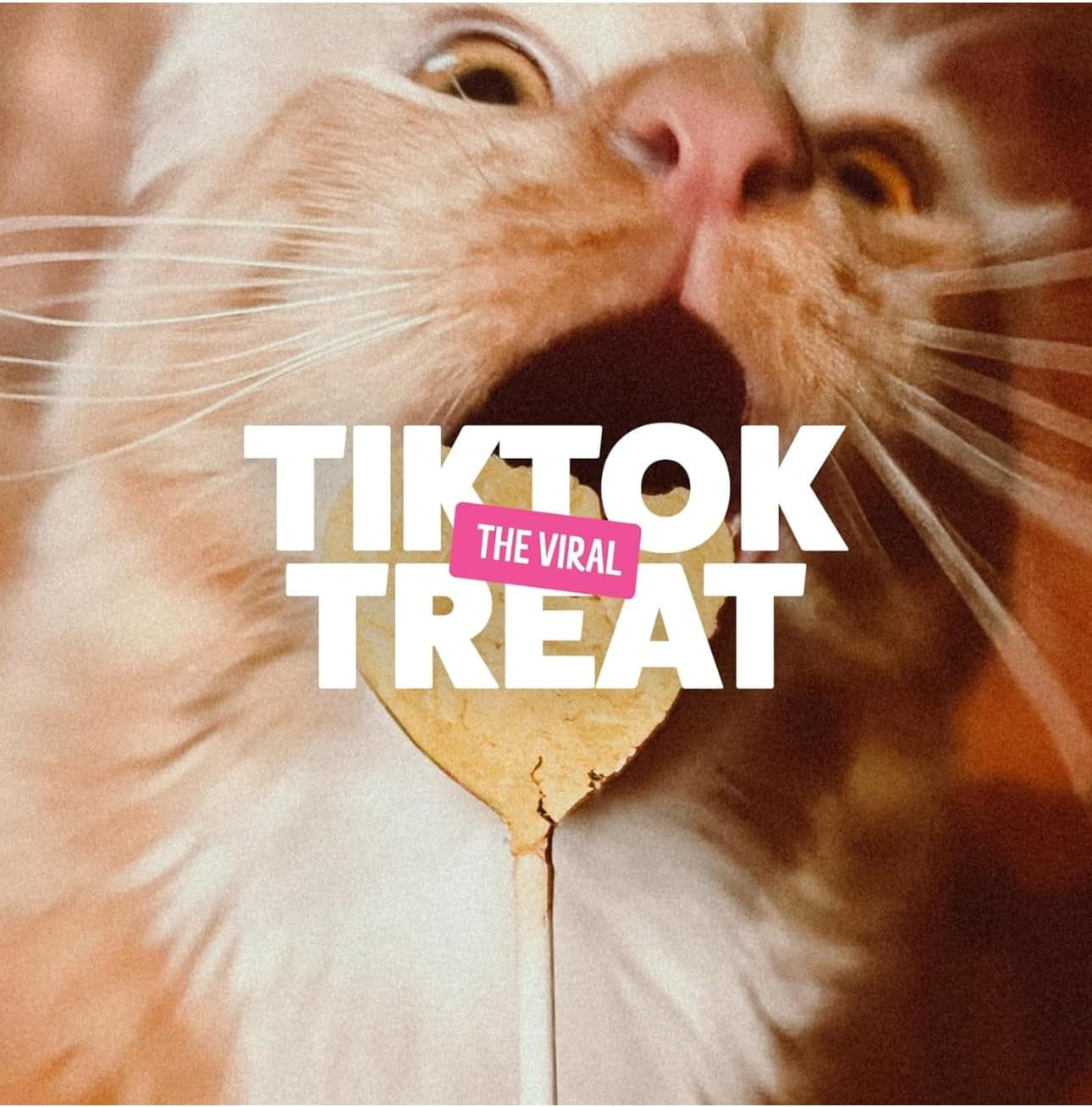 bonkers-purrpops-freeze-dried-salmon-flavored-lollipop-cat-treats-cat-treats-treats-for-training-for-all-breeds-and-ages-food-topper-8-pieces-2-pack