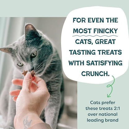 Shameless Pets Crunchy Cat Snacks & Treats – Healthy Cat Treats for Indoor Cats & Kittens with Catnip, Real Chicken & Digestive Support, Catnip N Chill (2.5 Oz)5