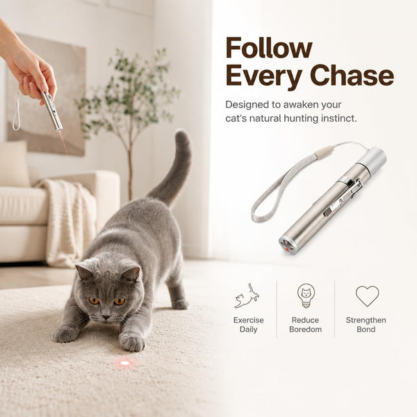 Lbingbrother 2 Pack Cat Toys, USB Rechargeable Kitten Toy, 3 Light Modes, Portable Interactive Pet Dog Cat Mouse Toy for Fun Chase Play Exercise | Direct USB Charging, 3 Light Modes, Aluminum Body, Pocket Clip, Wrist Strap, Indoor Play5