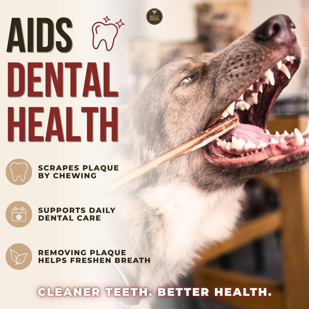 bully-bunches-premium-6-standard-5-pack-odor-free-bully-sticks-for-small-to-medium-dogs-puppies-consistently-sized-long-lasting-chews-for-oral-care-all-natural-100-beef-dog-treats