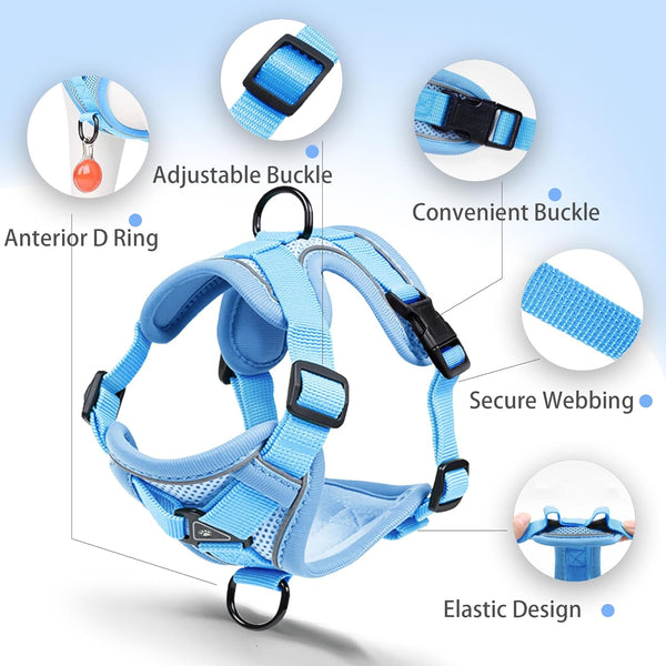 No Pull Dog Harness with Leash Set for Small Sized Dog, Reflective Adjustable No Choke Front Clip Cat Vest Harness with Breathable Mesh, Comfortable Soft Padded Pet Vest, Blue M3
