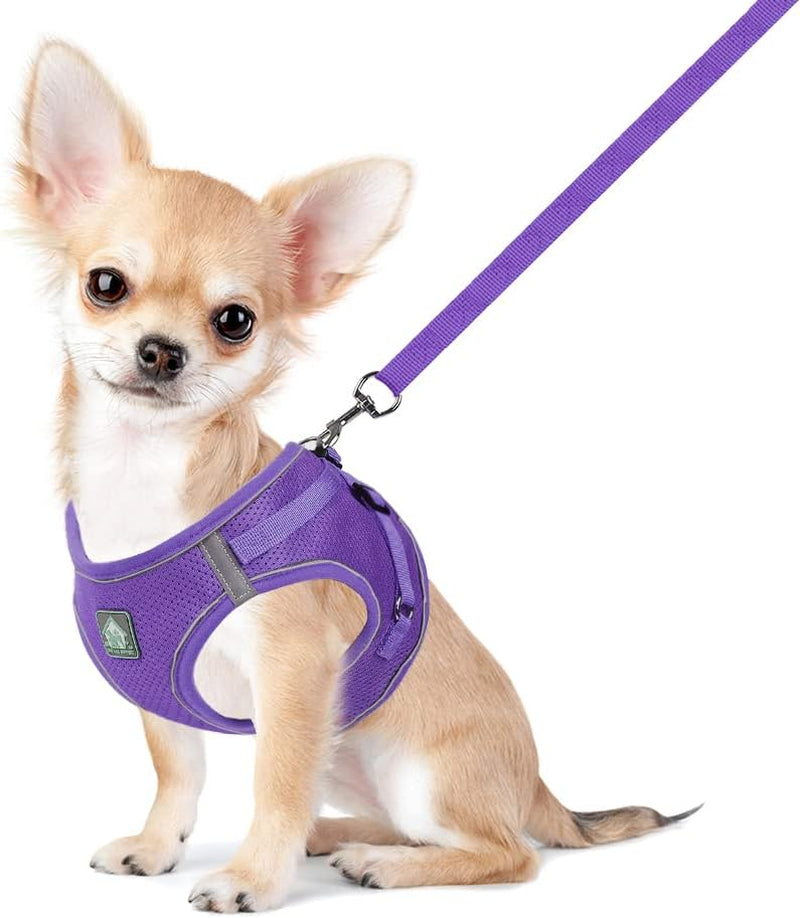 feimax-dog-harness-and-leash-set-no-pull-breathable-soft-mesh-puppy-vest-harness-reflective-adjustable-pet-harnesses-for-small-medium-dogs-and-cats-outdoor-easy-control-for-walking