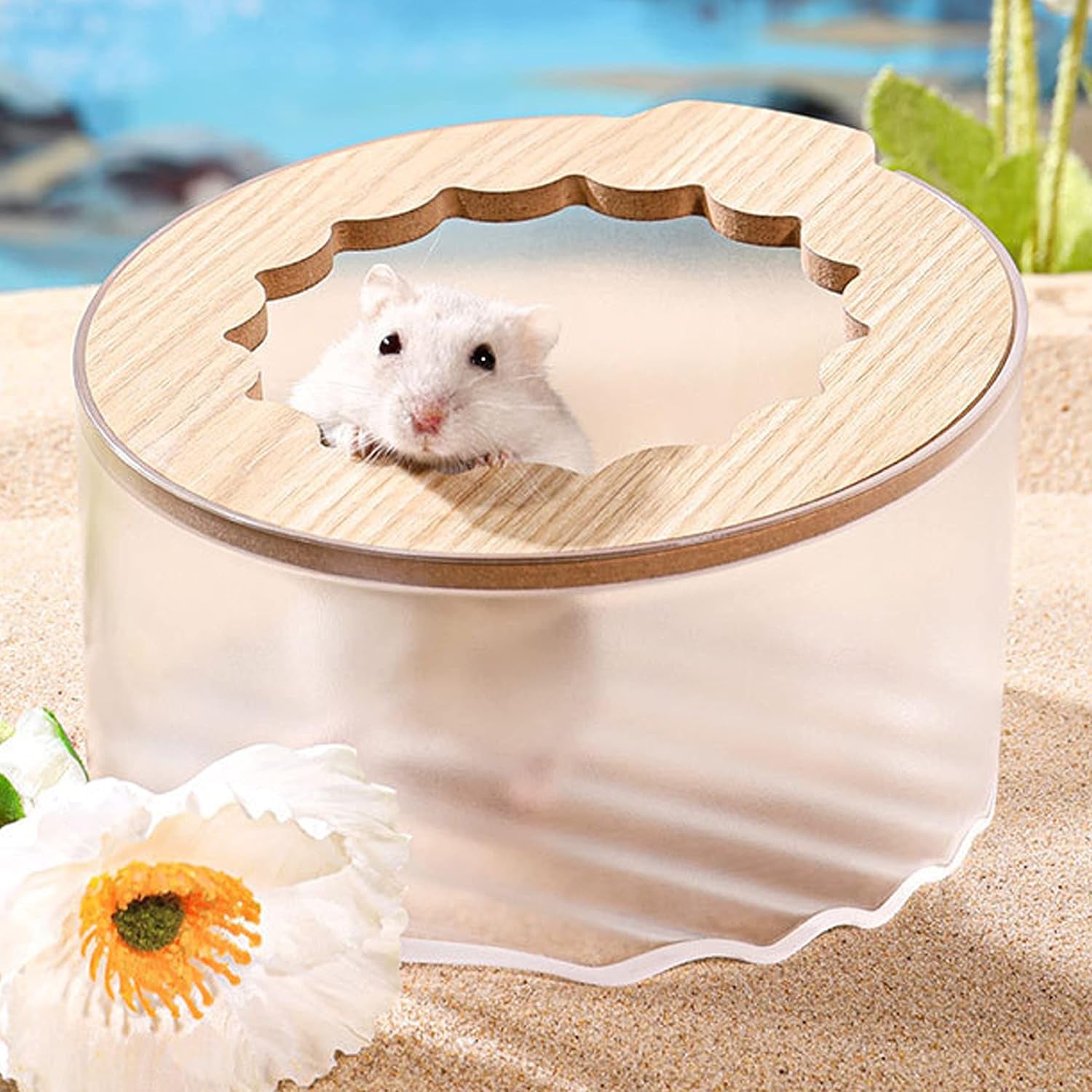 hamster-sand-bath-box-small-animal-bathroom-digging-room-easy-to-clean-for-dwarf-syrian-hamster-gerbil