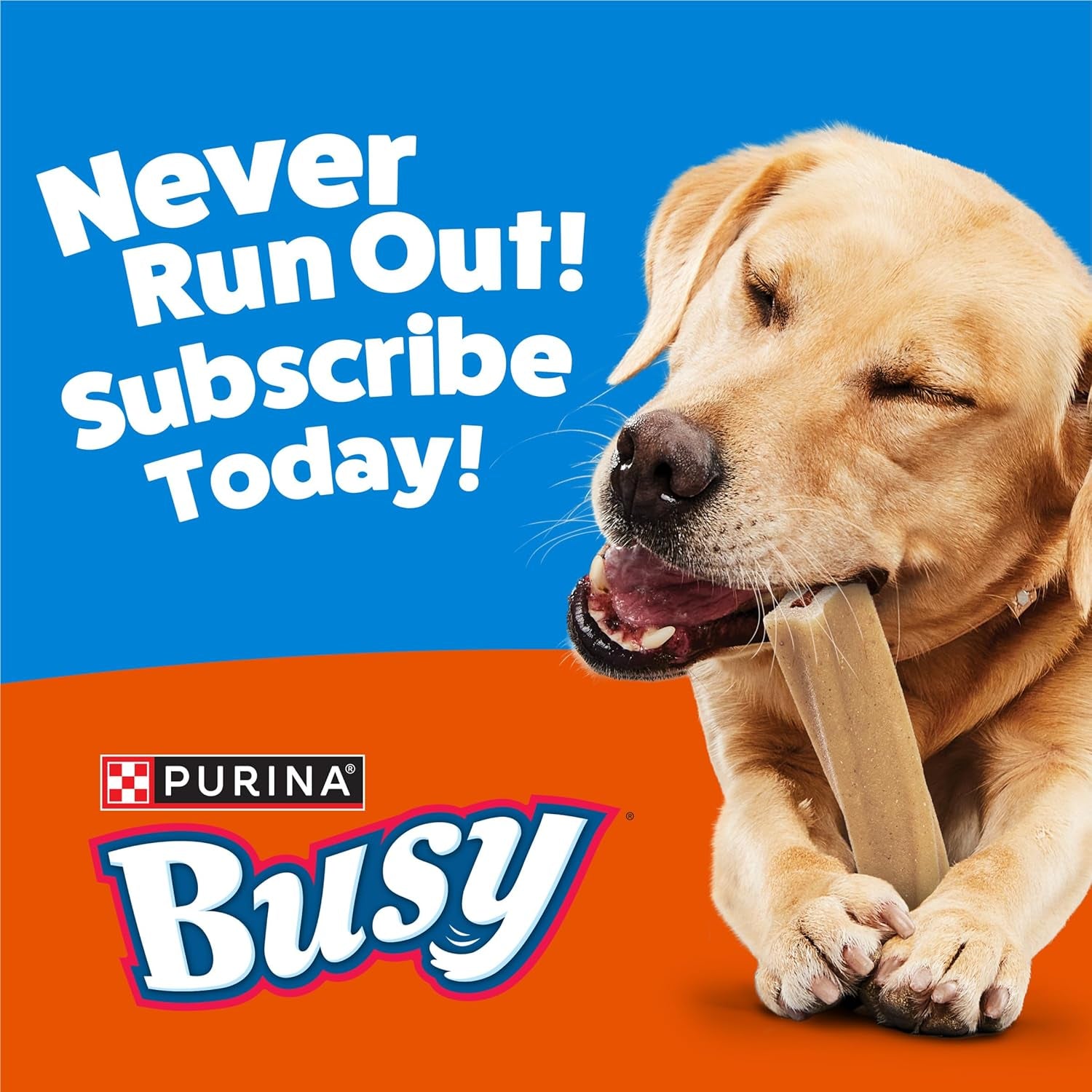 purina-busy-bone-adult-dog-chew-bone-treats-peanut-butter-10-ct-pouch