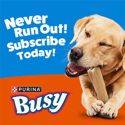Purina Busy Bone Adult Dog Chew Bone Treats, Peanut Butter - 10 Ct. Pouch11