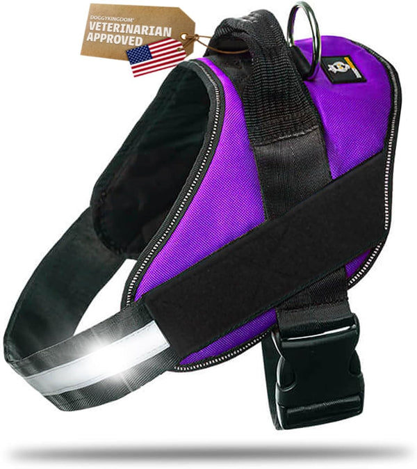 DOGGYKINGDOM No Choke Dog Harness with Handle and Patch Panels, Adjustable Reflective Dog Vest for Small Sized Dog, Blue, S19