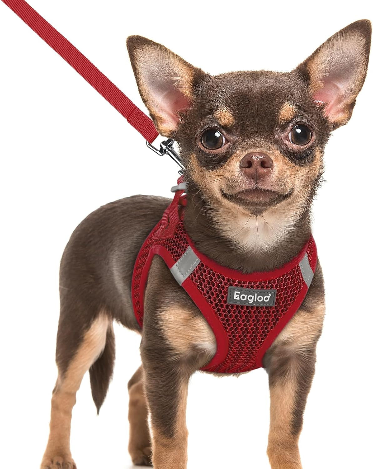 eagloo-small-dog-harness-and-leash-set-step-in-small-sized-puppy-pet-vest-light-soft-breathable-air-mesh-easy-on-and-off-with-hook-loop-reflective-for-safe-walking-pink-s