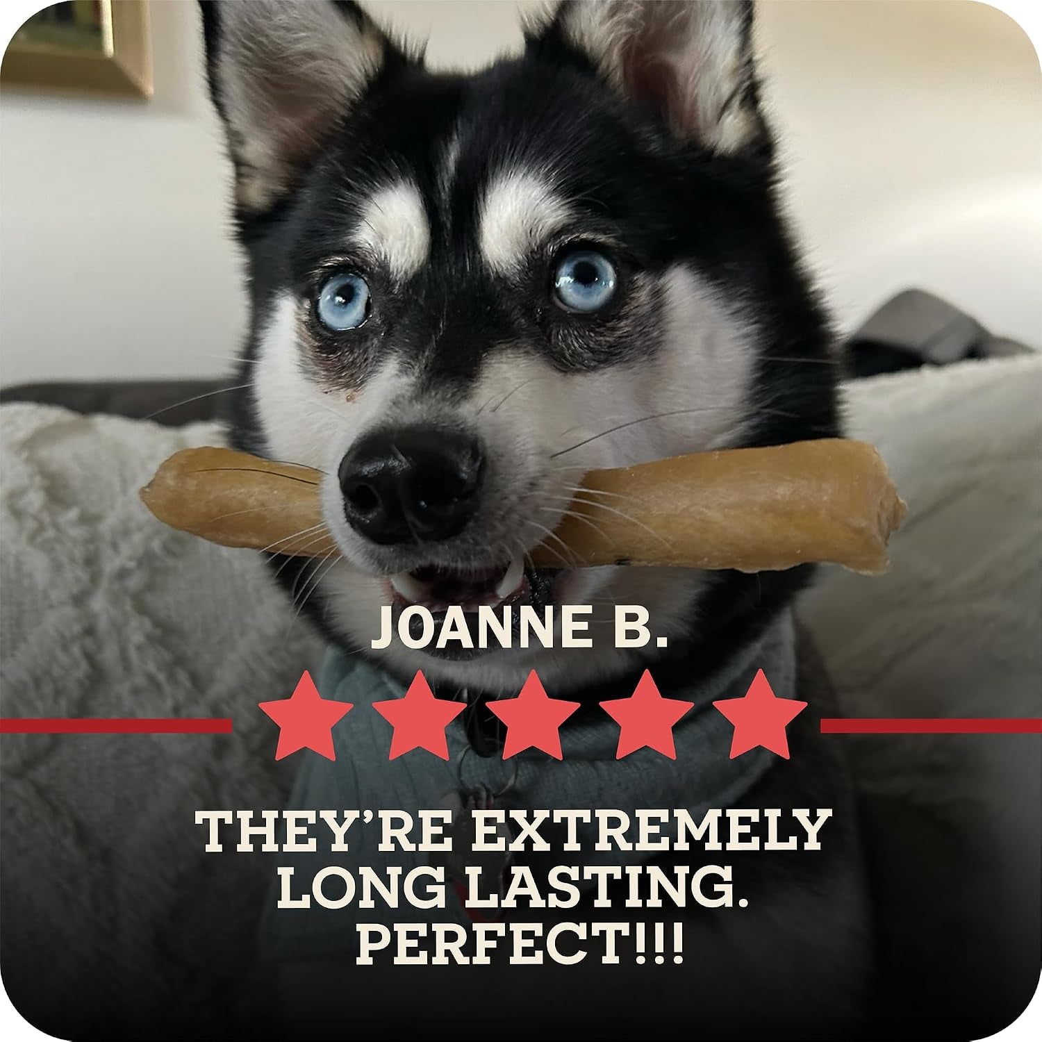 redbarn-pet-products-all-natural-large-12-beef-collagen-sticks-for-dogs-long-lasting-low-odor-alternative-to-traditional-rawhide-bully-sticks-supports-healthy-joints-skin-coat-3-pack