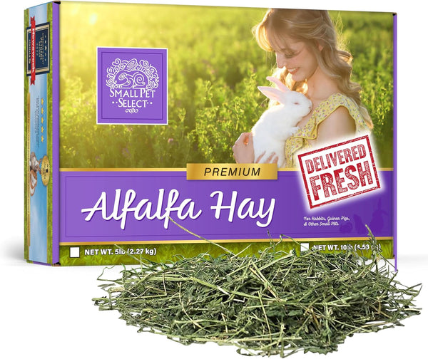 Small Pet Select Alfalfa Hay Pet Food for Young Rabbits, Guinea Pigs, Chinchillas, Tortoises and Other Small Animals, Easy to Store Box, 5 LB1