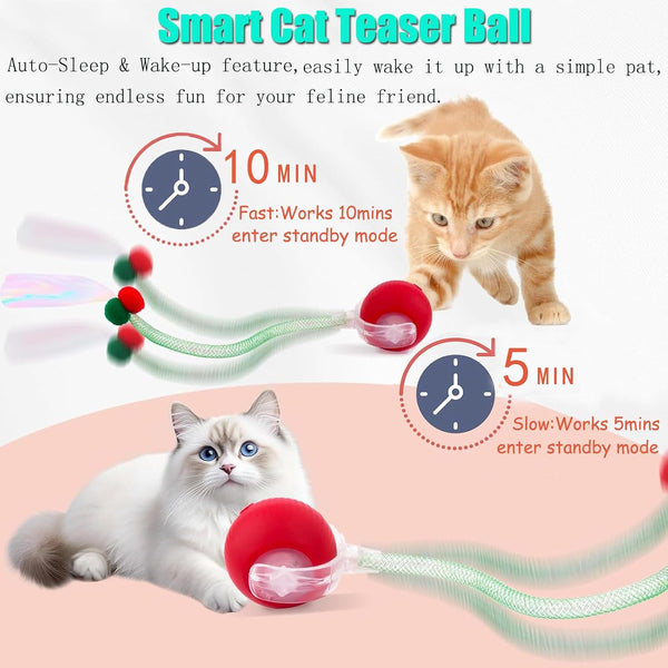 2 Packs Speed 2.0 Tail Interactive Cat Toys for Indoor Cats, Chirping & Motion Activate Cat Toy, Smart Kitten Rolling Ball Moving Ball Toys, Rechargeable Dog Cats Bal L for Enrichment Exercise4