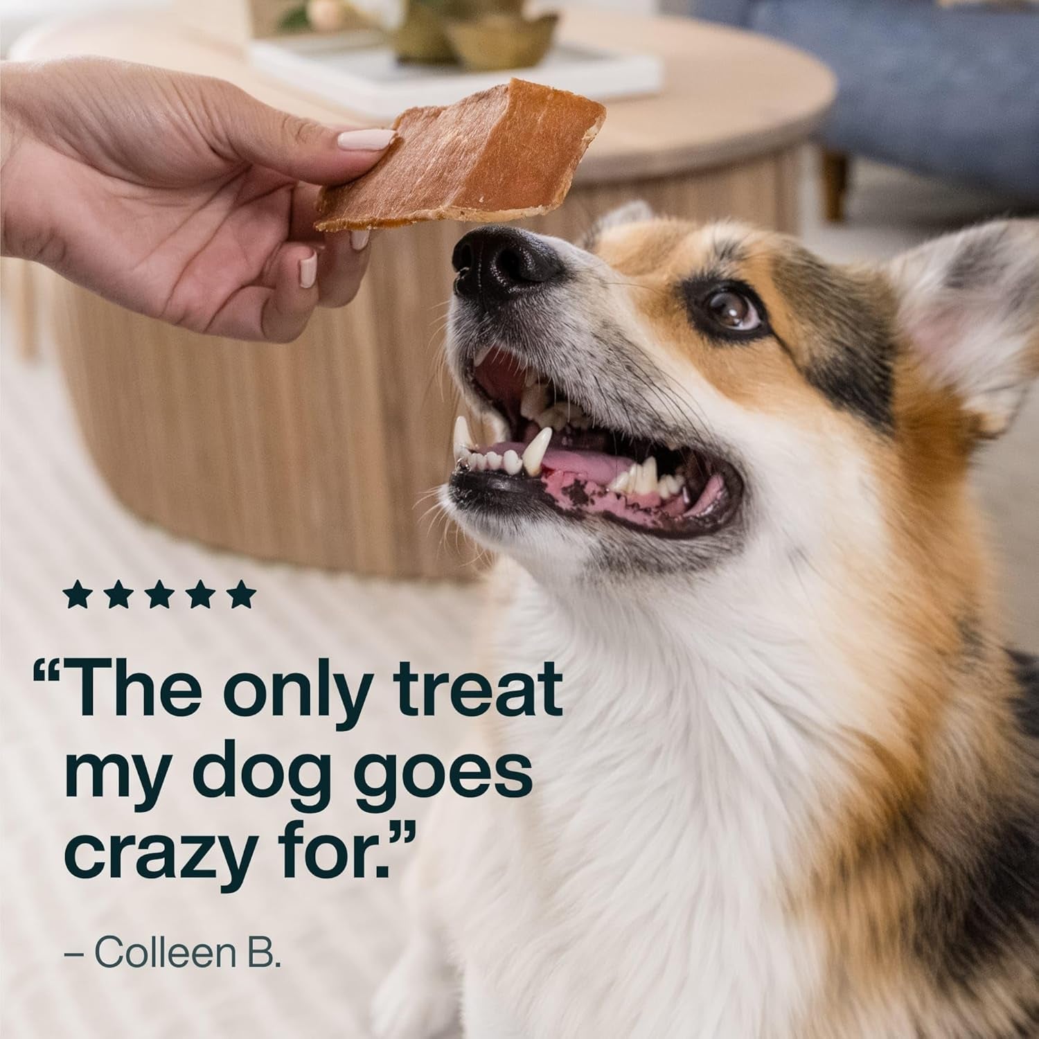 just-food-for-dogs-single-ingredient-healthy-dog-treats-and-dog-snacks-jerky-treats-human-grade-preservative-and-grain-free-rawhide-free-chews-low-calorie-treat-chicken-breast-5-oz-human-grade-chicken-treats-for-dogs-jerky-dog-snacks-preservative-grain-free-rawhide-free-chews-low-calorie-treat