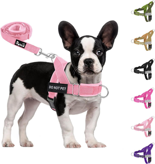 Slowton No Pull Dog Harness - Heavy Duty Dog Harness and Leash Set for Medium Large Dogs, Reflective Tactical Harness with Soft Padded and Front Clip for Easy Walk and Training (Black L)11