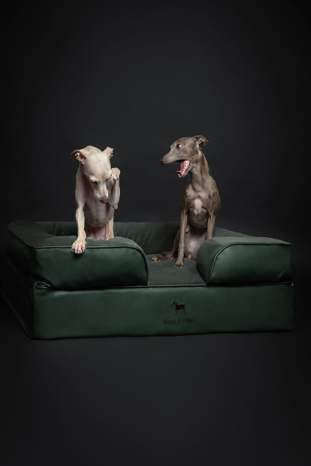 noah-paw-large-dog-bed-35x25x11-inch-orthopedic-dog-beds-eggshell-memory-foam-infused-with-cooling-gel-inner-cover-water-resistant-machine-washable-faux-leather