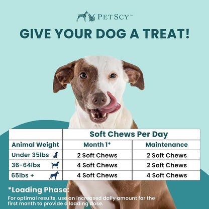 Itch & Allergy plus Dog Allergy Chews for Itchy Skin, Ears & Paws | Colostrum, Probiotics & Quercetin | Dog Allergy Relief for Skin Redness, Hair Loss, Immunity and Digestive Health - 60 Chews6