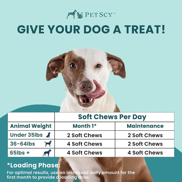 Itch & Allergy plus Dog Allergy Chews for Itchy Skin, Ears & Paws | Colostrum, Probiotics & Quercetin | Dog Allergy Relief for Skin Redness, Hair Loss, Immunity and Digestive Health - 60 Chews6