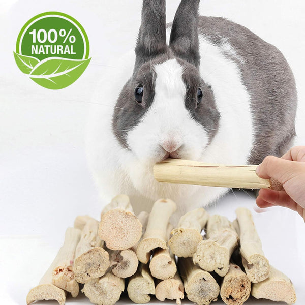 BWOGUE 100G Pet Snacks, Bamboo Chews for Rabbits, Sweet Bamboo Chew Sticks | About10-14 Sticks, 3.94 in Bamboo Sticks for Rabbits, Rabbit Chew Toys, Squirrels, Guinea Pigs, Chinchillas & Hamsters3