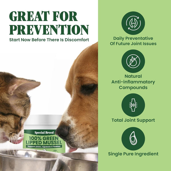 Green Lipped Mussel Powder for Dogs & Cats - 100% New Zealand Green Lipped Mussels - Natural Hip & Joint Supplement for Joints, Tendons, Ligaments, Muscles - 75 Grams - up to 250 Servings3