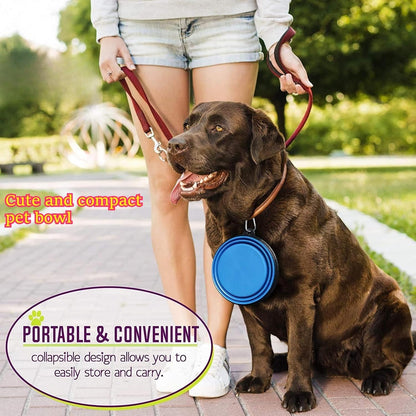 1Pc Collapsible Silicone Pet Feeder Portable Dog Travel Bowls, Water & Food Container with Carabiner Hook - Space-Saving Cat Bowl, Small 350Ml (12Fl Oz) (Blue)4