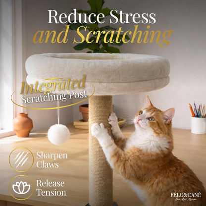 FÉLO&CANÉ Desk Cat Bed with Scratching Post & Toy Ball – Space-Saving Clamp-On Cat Hammock for Desk, Elevated Cat Perch for Work-From-Home, Sturdy Metal Frame, Soft Plush Cushion (Up to 11 Lbs)6