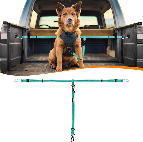 Petbonus Truck Bed Dog Leash, Functional Safety Dog Truck Bed Tether | for 1 Dog, Truck Bed Tie down System, Adjustable, Pick-Up Bed Restraint Lead, Ratchet Tightening Car Harness Belt, Black10
