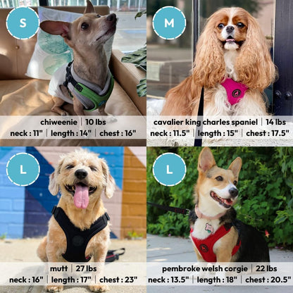Gooby Escape Free Sport Harness - Red, Medium - No Choke Step-In Patented Neoprene Small Dog Harness with Four-Point Adjustment - Perfect on the Go Dog Harness for Medium Dogs No Pull and Small Dogs5