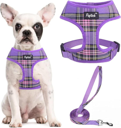 PUPTECK Soft Mesh Dog Harness Small Sized and Leash Set Pet Puppy Cat Comfort Padded Vest No Pull Harnesses, Beige, S60