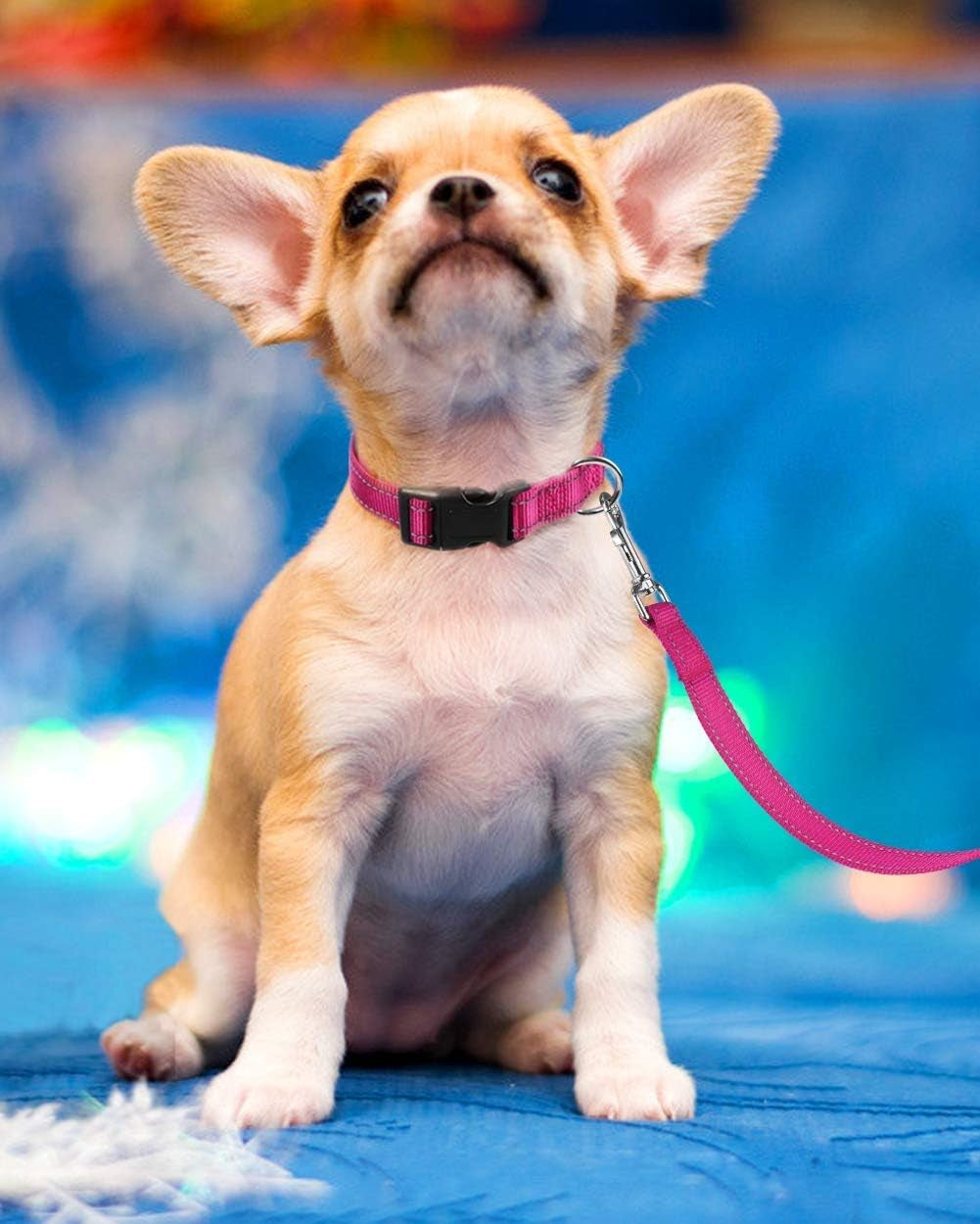 reflective-dog-collar-with-buckle-adjustable-safety-nylon-collars-for-small-medium-large-dogs-pink-m-breathable-nylon-collars-for-small-medium-large-dogs-no-chafing-on-walks-and-outdoor-hikes-metal-d-ring-night-safety