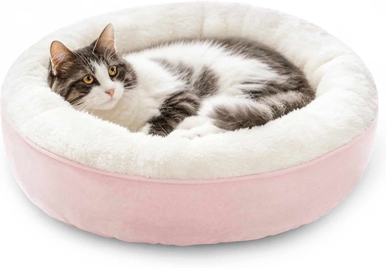 loves-cabin-round-donut-cat-and-dog-cushion-bed-20in-bed-for-cats-or-small-dogs-anti-slip-water-resistant-bottom-super-soft-durable-fabric-pet-beds-washable-luxury-cat-dog-bed-gray
