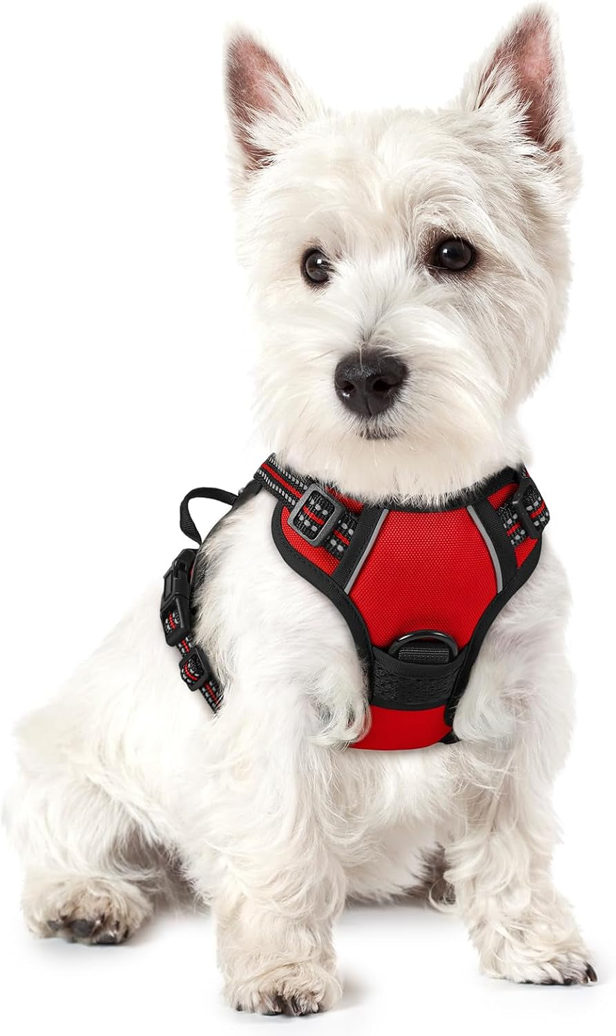 rabbitgoo-dog-harness-no-pull-for-large-dogs-with-2-leash-clips-pet-vest-no-choke-with-handle-adjustable-soft-padded-reflective-easy-control-for-walking-black-large