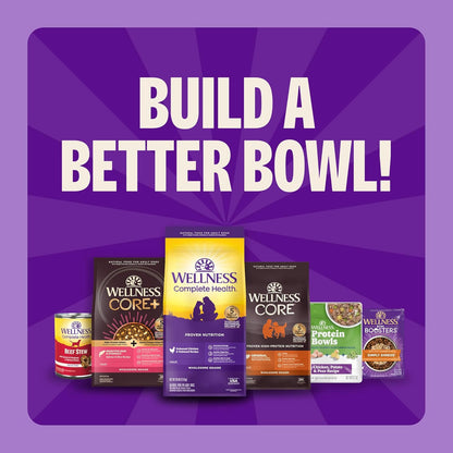 Wellness Complete Health Small Breed Adult Dry Dog Food, Wholesome Grain Kibble, Natural, Turkey and Oatmeal Recipe, 4 Lb Bag8