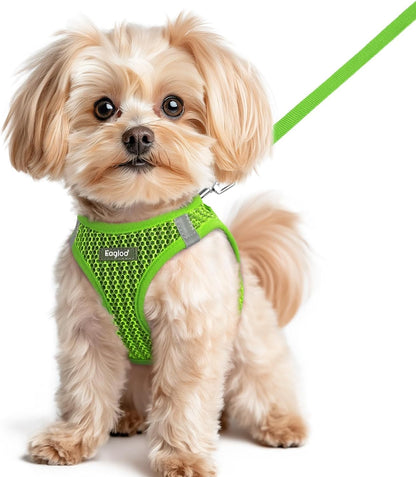 Eagloo Small Dog Harness and Leash Set, Step in Small Sized Puppy Pet Vest | Light, Soft, Breathable Air Mesh, Easy on and off with Hook & Loop, Reflective for Safe Walking, Pink, S15