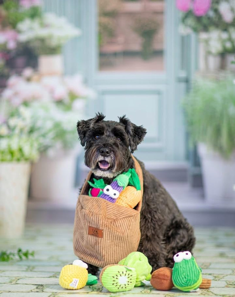nocciola-squeaky-fruits-veggies-stuffed-dog-toys-pack-hide-seek-grocery-basket-crinkle-plush-puppy-toys-to-keep-busy-birthday-pet-supplies-gifts-for-small-medium-breeds