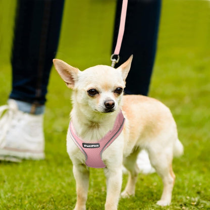 Small Dog Harness and Leash Set Breathable Step-In Puppy Cat Harness,Xs | Reflective for Safe Easy Walking,Soft Light Puppy Vest,Escape Proof,No Pull Harness for Dogs,All Weather Air Mesh Harness8